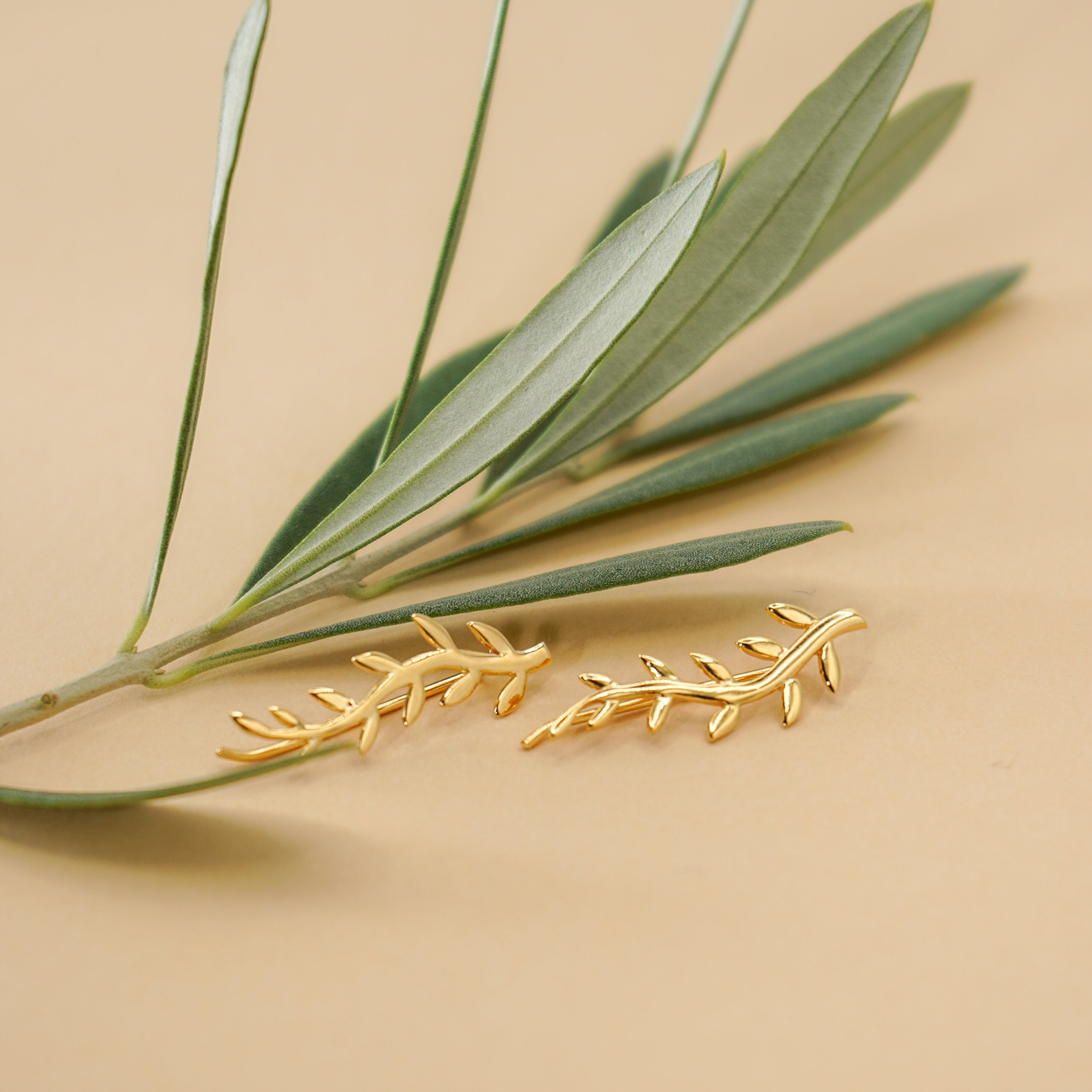 Olive Ear Climber